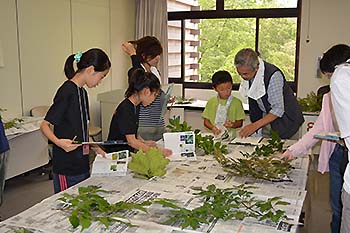 写真2：子ども樹木博士2