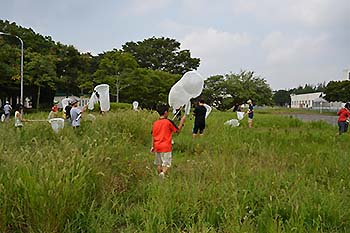 写真2：夏休み昆虫教室2