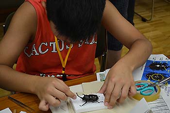 写真4：夏休み昆虫教室4