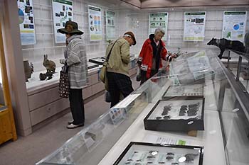 写真10：もりの展示ルームその2