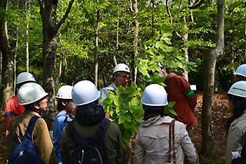 写真7：樹木園見学その1