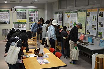 写真9：もりの展示ルームその1