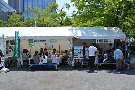 写真1：森林総合研究所の出展ブース