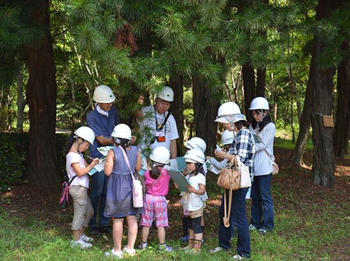 写真1：子ども樹木博士（樹木園）