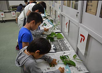 写真2：子ども樹木博士（試験）