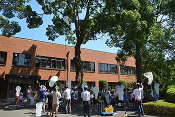 写真2：昆虫教室の様子