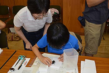 写真4：昆虫教室の様子