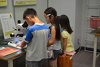 写真6：電子顕微鏡で木の断面を覗いてみる
