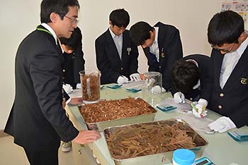 写真6：森の恵みをエネルギーに変える3