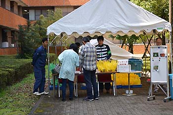 写真15：苗木のプレゼント