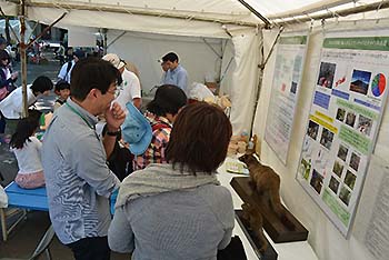 写真2：研究成果展示1