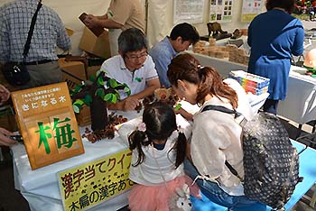 写真4：ウッドクラフト「コースター（間伐材）への塗り絵」1