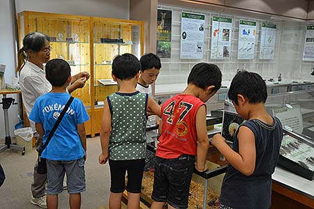 写真1：もりの展示ルーム1