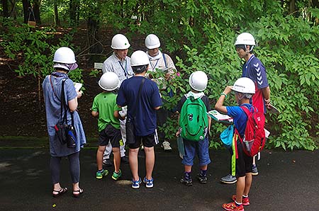写真6：子ども樹木博士の樹木園観察1