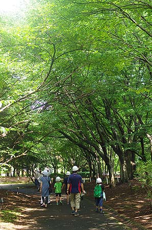 写真7：子ども樹木博士の樹木園観察2