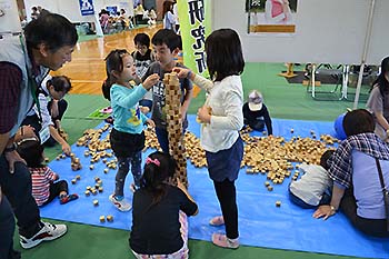 写真4：スギのサイコロ