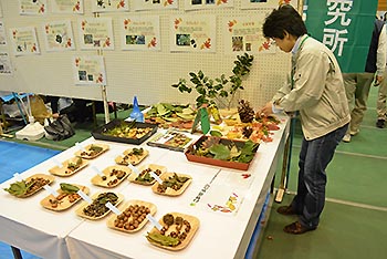 写真2：ウッドクラフト（ペンスタンド作り）