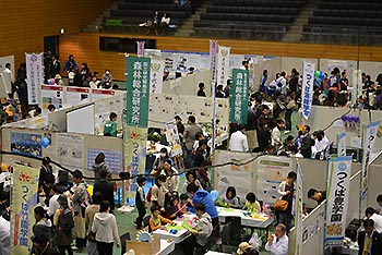 写真4：スギのサイコロ