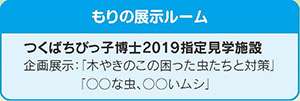 もりの展示ルームのご案内