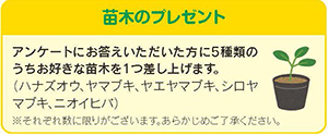 苗木のプレゼントのご案内