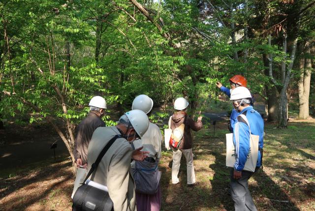 左の写真とは異なるエリアで研究員が樹木の特徴などを参加者に説明をしている様子の写真
