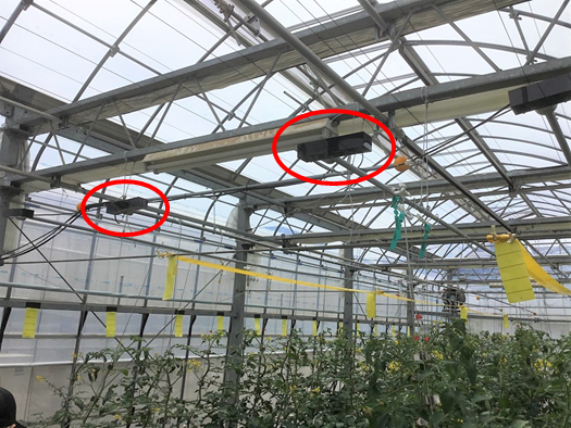 図1.宮城県のトマト栽培施設で振動発生装置を用いて防除効果を調査している様子