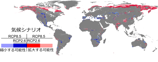 気候変動によって森林が拡大しやすい地域は、縮小しやすい地域より面積的には大きいことが予測されたことを示す図