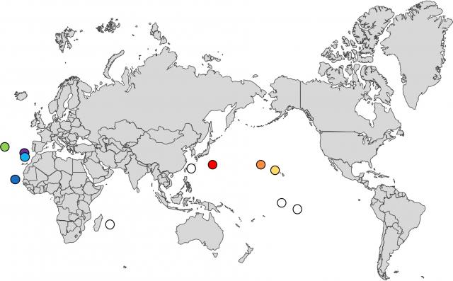 核DNAの分析を行った小笠原諸島、ハワイ諸島の2島、大西洋に浮かぶ4つの諸島を示した図