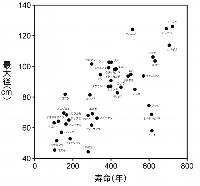 寿命と最大径の目安の推定値は樹種によって大きく異なっていることを示すグラフ