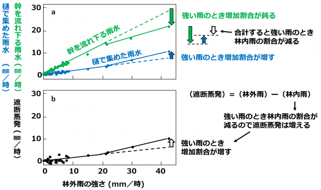 上(a)：幹を流れ下る雨水、樋で集めた雨水と林外雨の強さの関係を示すグラフ。下(b)：遮断蒸発と林外雨の強さの関係を示すグラフ。
