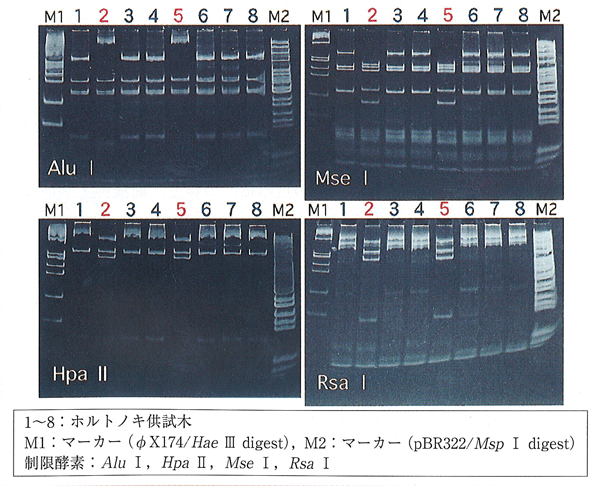 p11 fig2