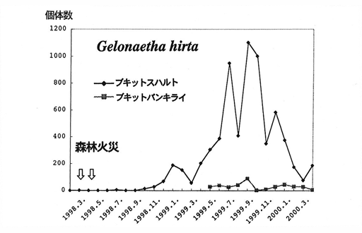 p13 fig6