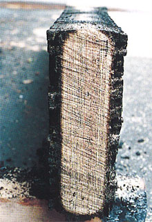 p19 photo1