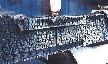 p19 photo2
