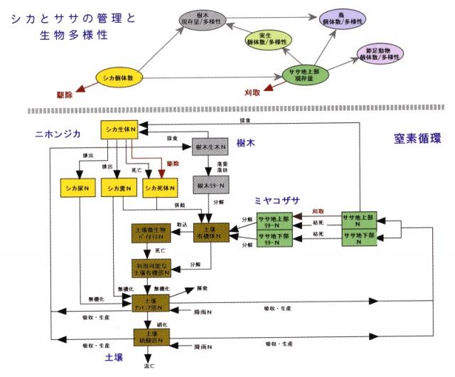 p1 fig1