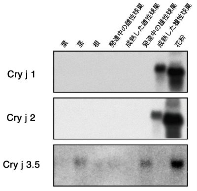 p18 fig1