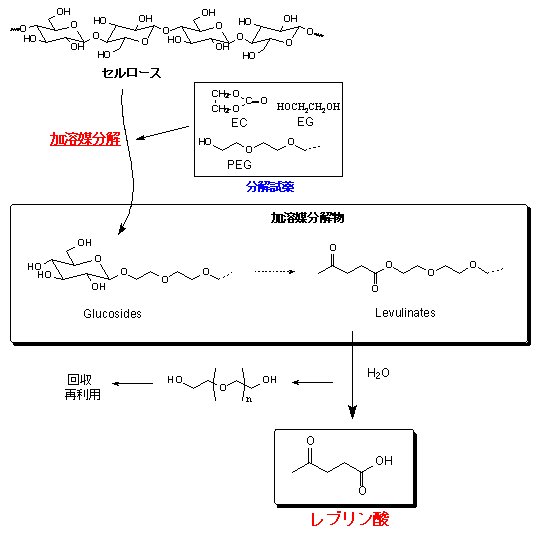 p21 fig3