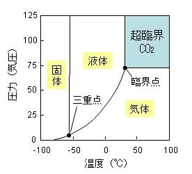 p22 fig1