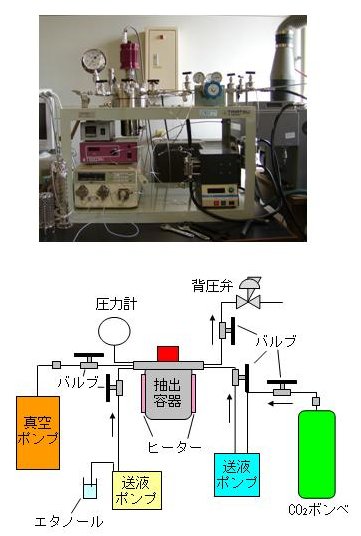 p22 fig2