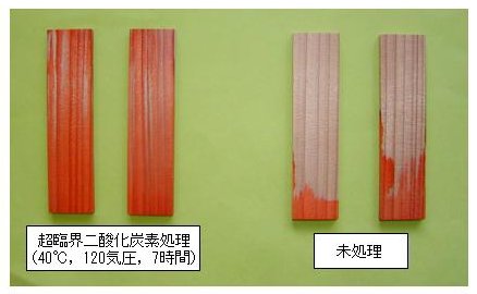 p22 photo1