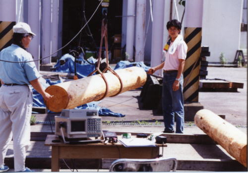 p24 photo1
