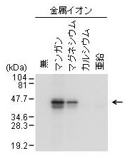 p25 fig3