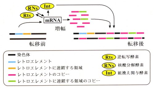 p26 fig1