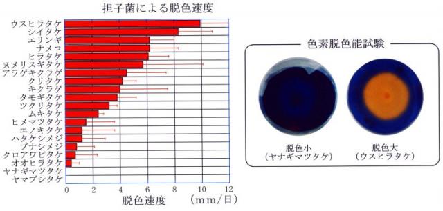 p27 fig1