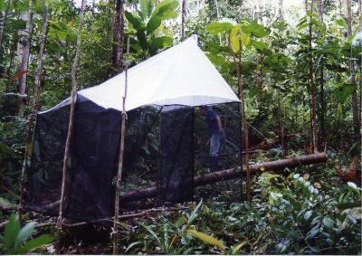 p29 photo1
