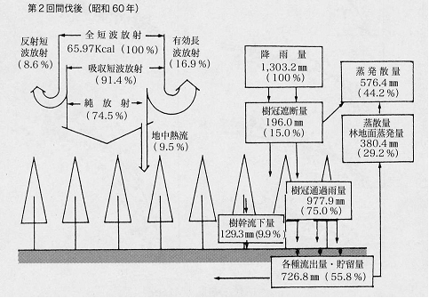 間伐後の水流出収支 昭和60年