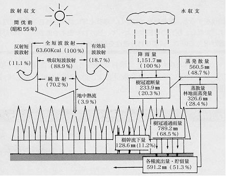 間伐前水流出の収支 昭和55年