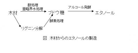 木材からのエタノールの製造