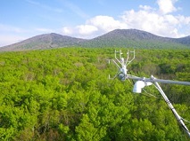 安比タワーから撮影したブナ林の季節変化の写真1