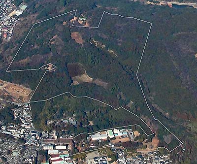 写真1：森林総合研究所九州支所実験林